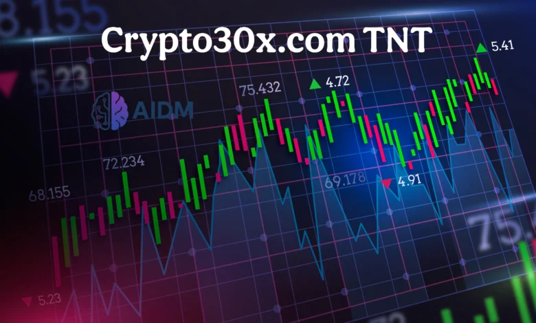 Everything You Need to Know About Crypto30x.com TNT